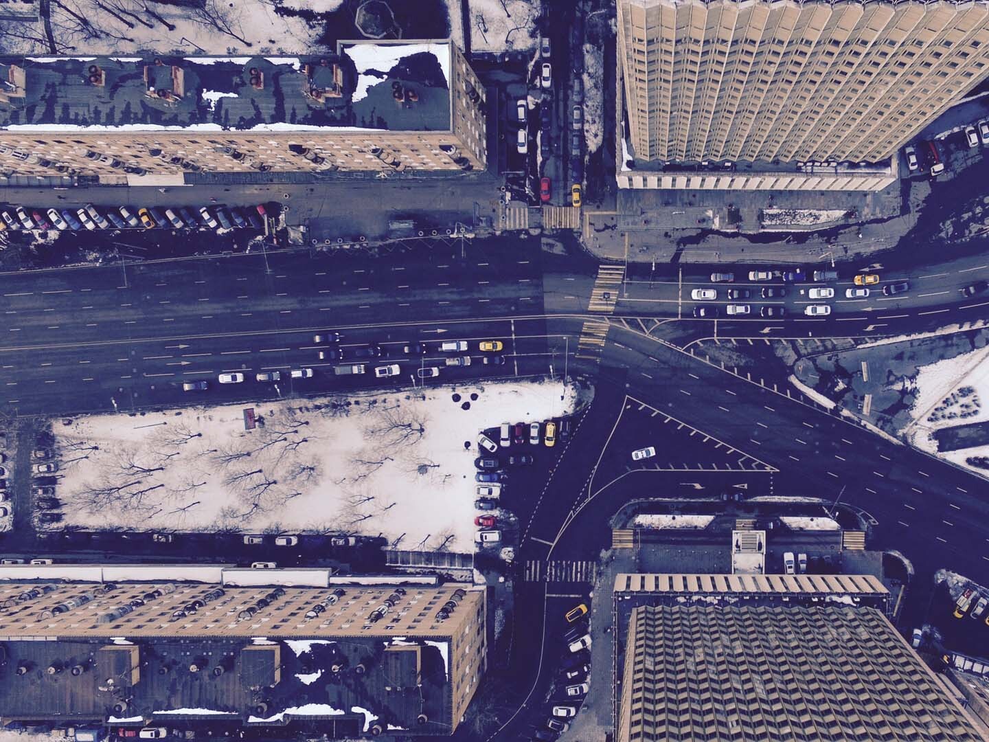 Photo by Nikita Maru